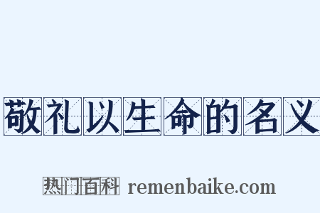 敬礼以生命的名义是什么意思的图片